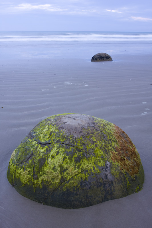 Moss Covered Boulder At Sunset